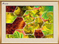 Free download Click-O-Pack screenshot