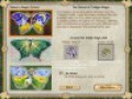 Free download Fresco Wizard screenshot