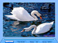 Free download Jig Swap Puzzle screenshot