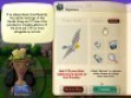 Free download Snapshot Adventures: Secret of Bird Island screenshot