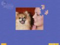 تحميل مجاني للقطة من لعبة  Super Jigsaw Puppies 1