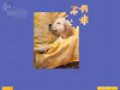 تحميل مجاني للقطة من لعبة  Super Jigsaw Puppies 2