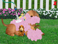 تحميل مجاني للقطة من لعبة  Wonder Pets Save the Puppy 2