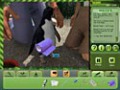 تحميل مجاني للقطة من لعبة  Zoo Vet 1