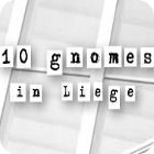 لعبة  10 Gnomes in Liege