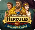 لعبة  12 Labours of Hercules VII: Fleecing the Fleece