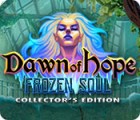 لعبة  Dawn of Hope: The Frozen Soul Collector's Edition