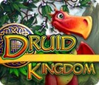 لعبة  Druid Kingdom