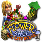 لعبة  Flower Shop: Big City Break