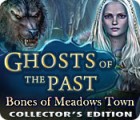 لعبة  Ghosts of the Past: Bones of Meadows Town Collector's Edition