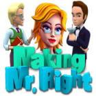 لعبة  Making Mr. Right