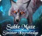 لعبة  Sable Maze: Sinister Knowledge