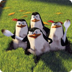 لعبة  The Penguins of Madagascar: Pollution Solution