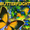 لعبة  Butterflight