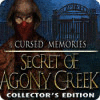 لعبة  Cursed Memories: The Secret of Agony Creek Collector's Edition