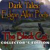 لعبة  Dark Tales: Edgar Allan Poe's The Black Cat Collector's Edition