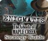 لعبة Enigmatis: The Ghosts of Maple Creek Strategy Guide