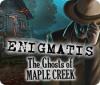 لعبة  Enigmatis: The Ghosts of Maple Creek