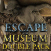لعبة  Escape the Museum Double Pack