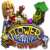 لعبة Flower Shop: Big City Break