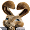 لعبة  Hop: Easter Bunny Coloring