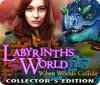 لعبة  Labyrinths of the World: When Worlds Collide Collector's Edition