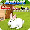 لعبة  Rabbit Escape From Eagle