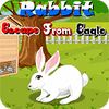 لعبة Rabbit Escape From Eagle