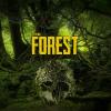 لعبة  The Forest