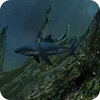 لعبة Written Legends: Nightmare at Sea