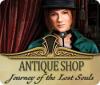 Antique Shop: Journey of the Lost Souls game