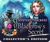 Mystery Trackers: Blackrow's Secret Collector's Edition game