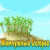Pearl Island
