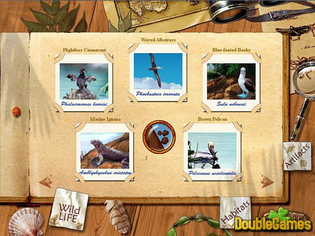 Free Download Paradise Quest Screenshot 3
